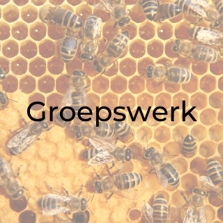 Groepswerk