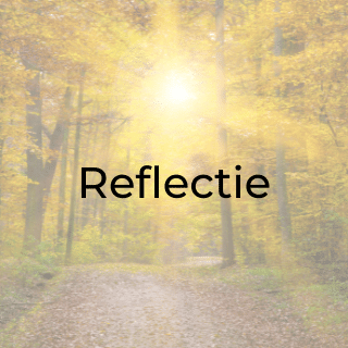 Reflectie