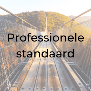 Professionele standaard